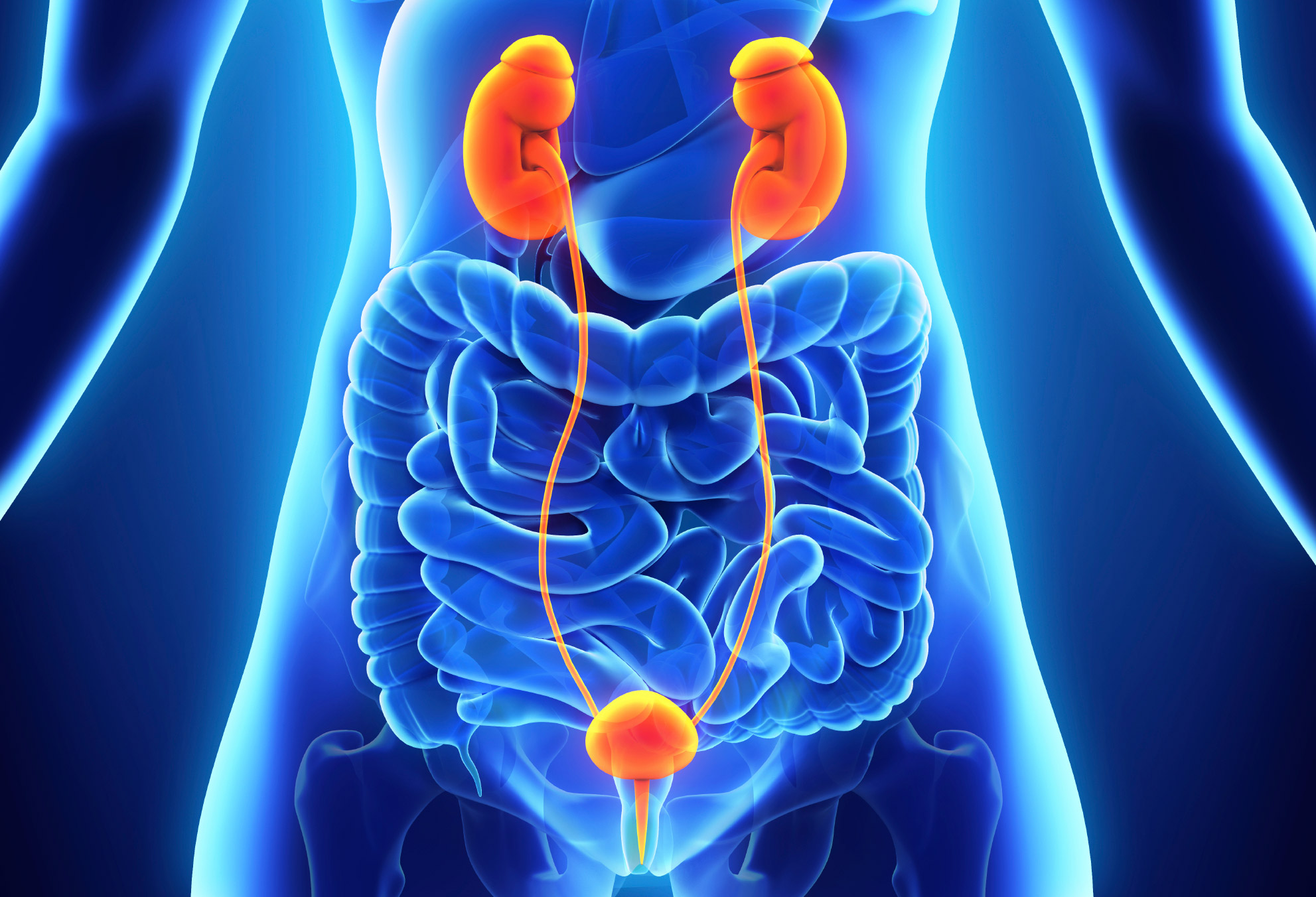 Bladder Cancer Urology Specialists Of Georgia